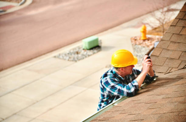 Best Roof Gutter Cleaning  in Eustis, FL